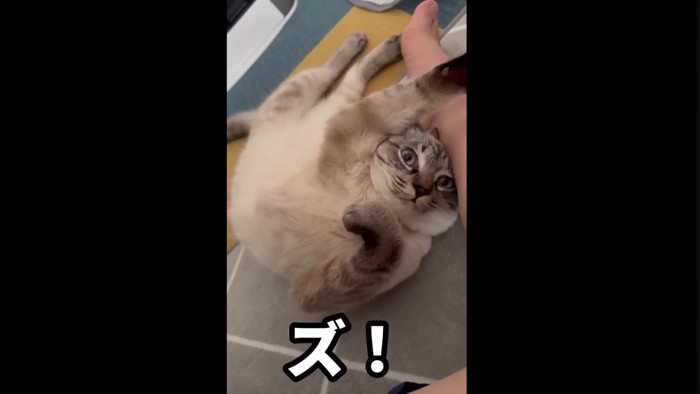 ポーズ!