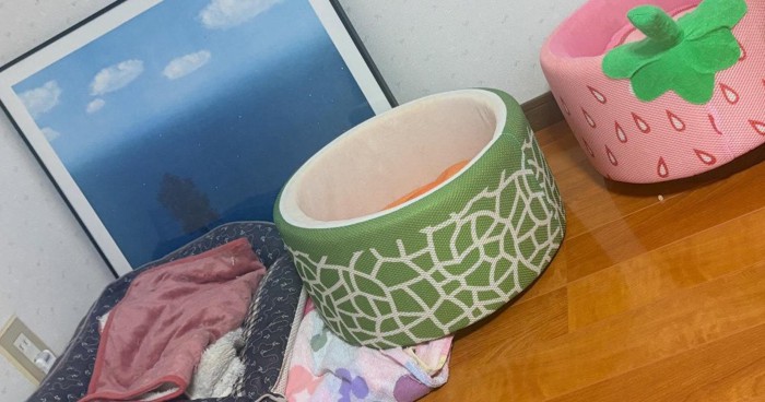 猫ベッド