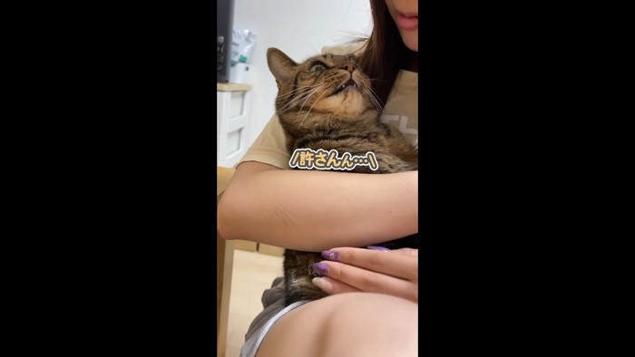 許さん…