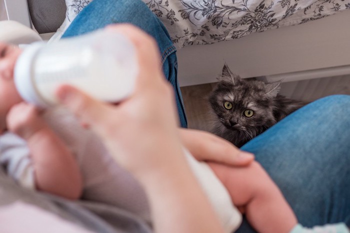 赤ちゃんに嫉妬する猫