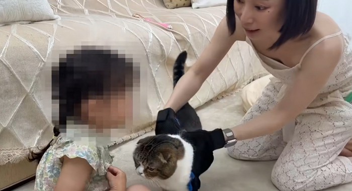 猫を手袋で挟み込むママさん