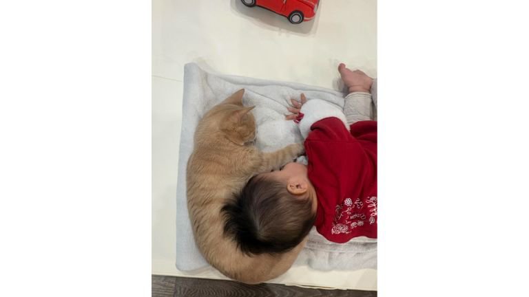寝ている赤ちゃんと猫
