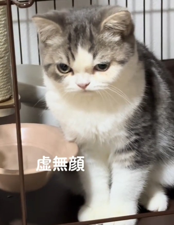 悲しむぐるくん