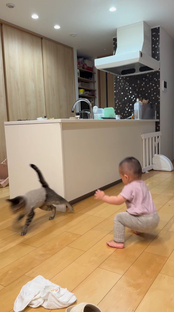 尻もちをつく赤ちゃんと、その場を走り去る猫
