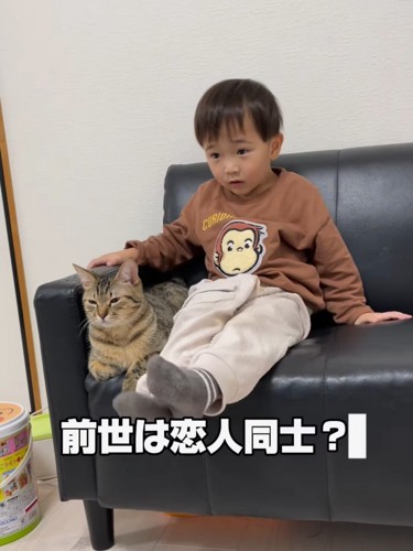 ソファーに座る猫と男の子