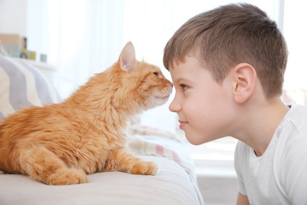 子どもの頭を嗅ぐ猫