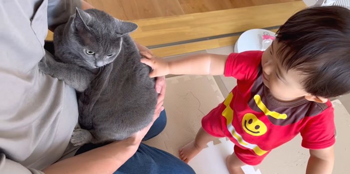 人に抱かれている猫と触っている子ども