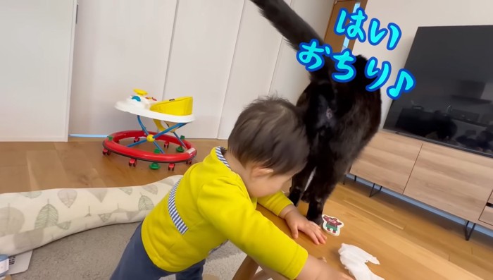 はい おちり