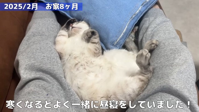 お家8か月