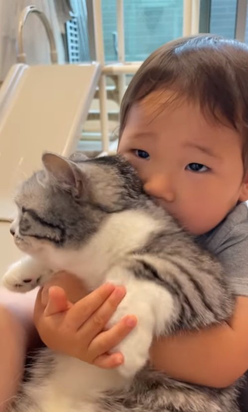 猫と男の子2