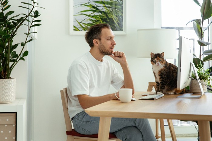 猫と男性