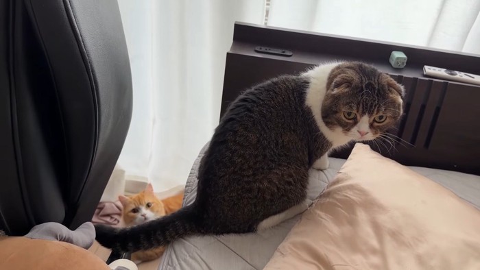 ベッド