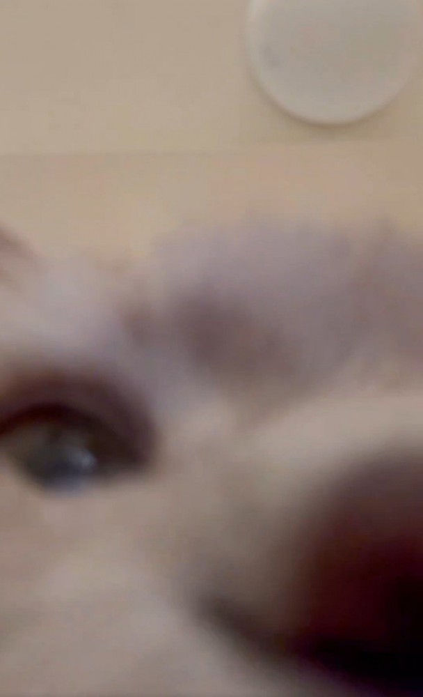 見覚えのない動画データ