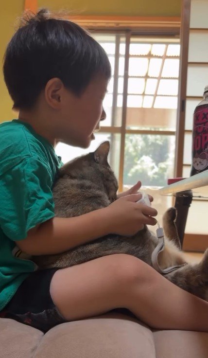 ゲームをしている男の子と猫