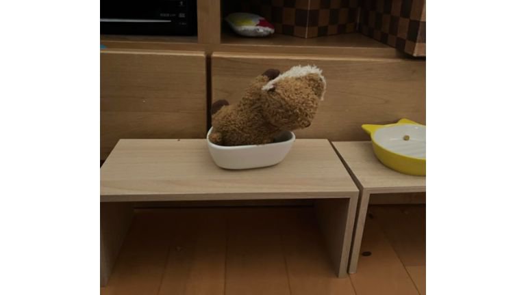 皿に入っているぬいぐるみ