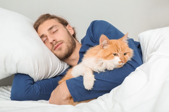 寝ている男性に抱きしめられている猫