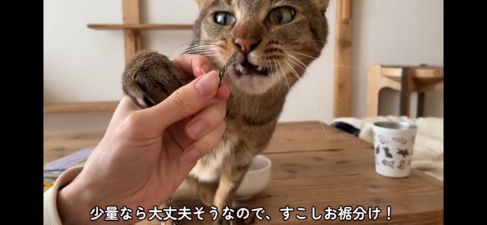 食べる