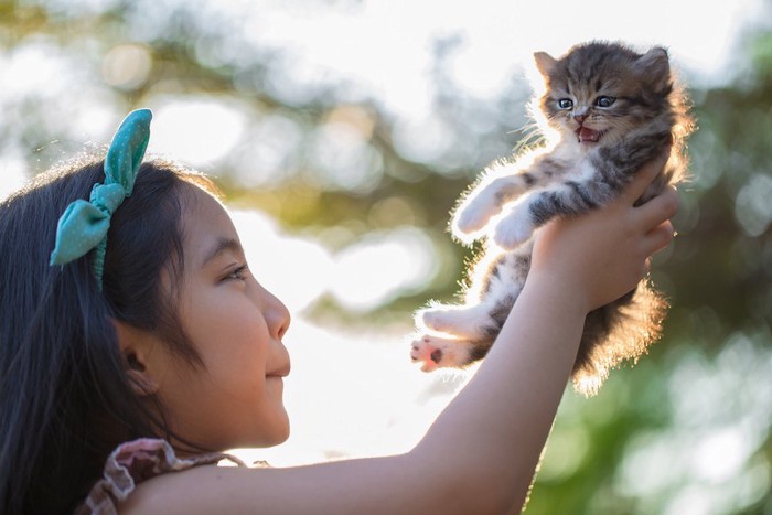 子猫を抱き上げている女の子