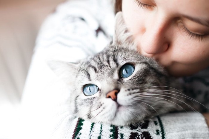 女性にキスされるアメショー