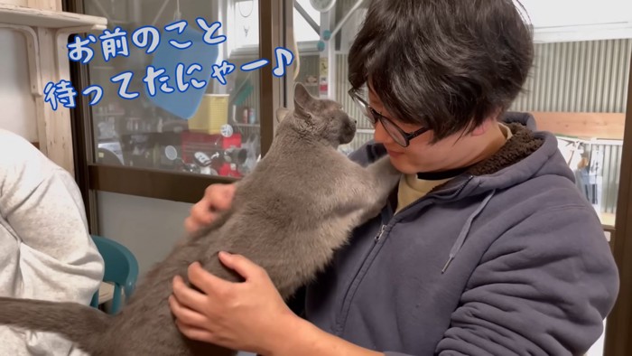 甘えにきた猫