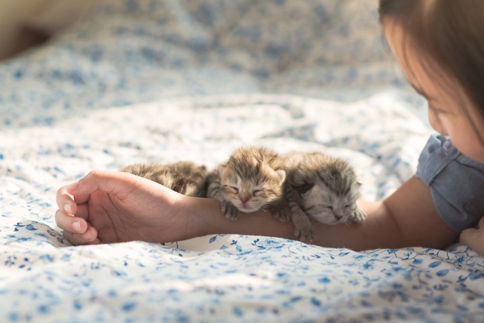 子供と子猫たち