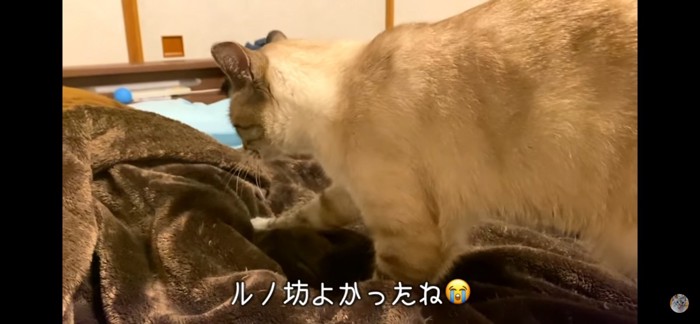 ふみふみ職人