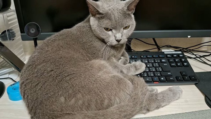 少しうつむいた姿