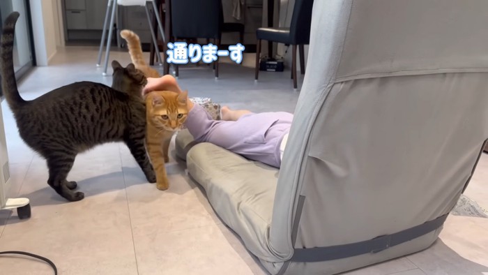 テロップ「通りまーす」