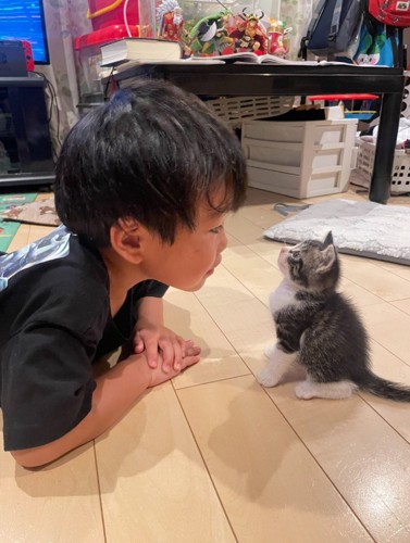 子猫に話しかける