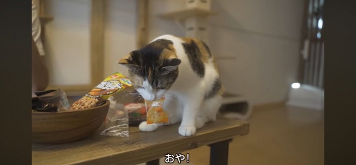 猫被りおわり