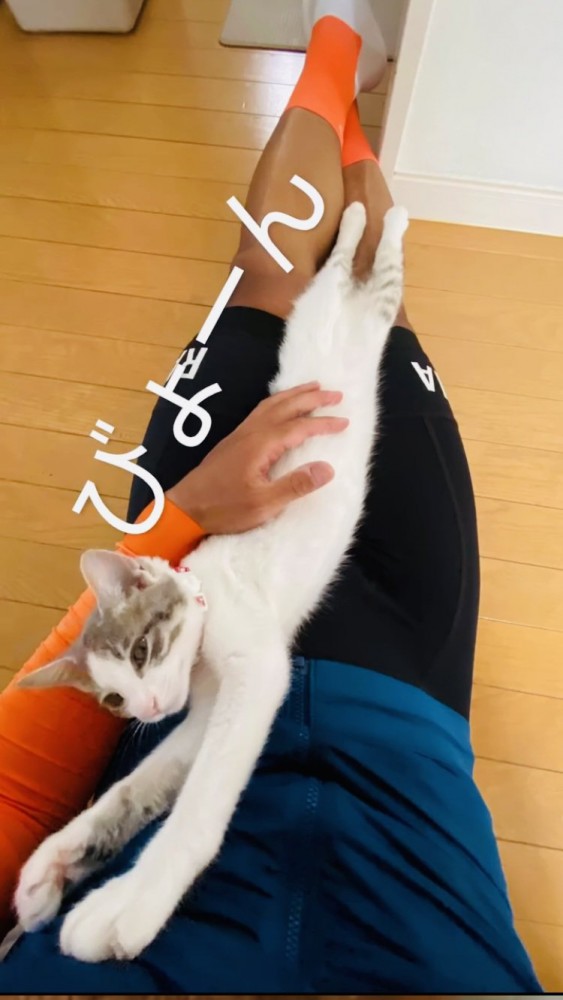 パパの足の間で伸びる三毛猫