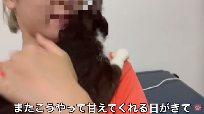 甘える猫