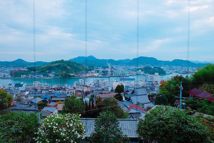 空猫カフェからの景色2