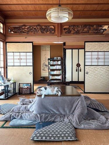 部屋のこたつの上に寝そべる猫