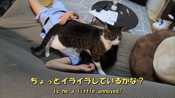 「ちょっとイライラ...」のテロップ写真