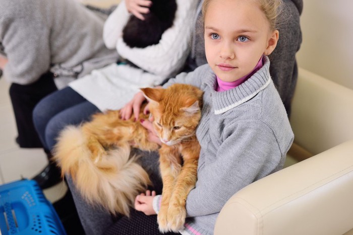 少女に抱かれる猫