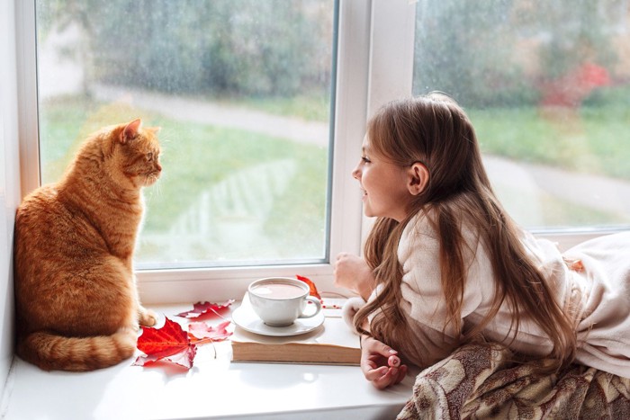 向かい合う猫と子供