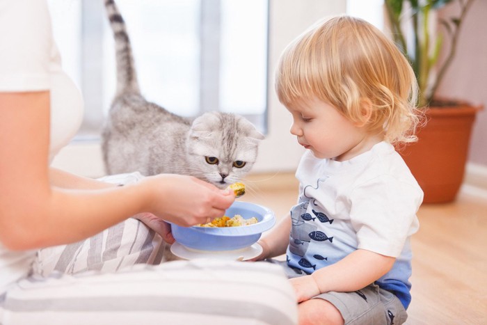 猫にフードをあげる母親と幼児