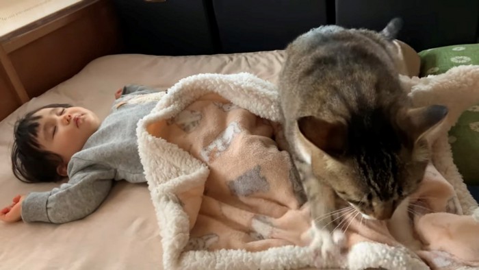 バンザイ寝している赤ちゃんと前足の手をしっかり開いてふみふみする猫