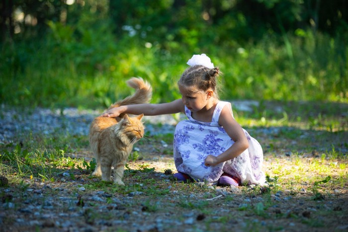 猫と女の子