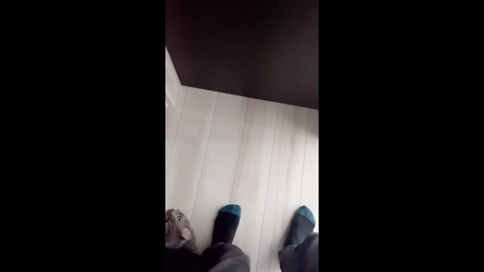 足元