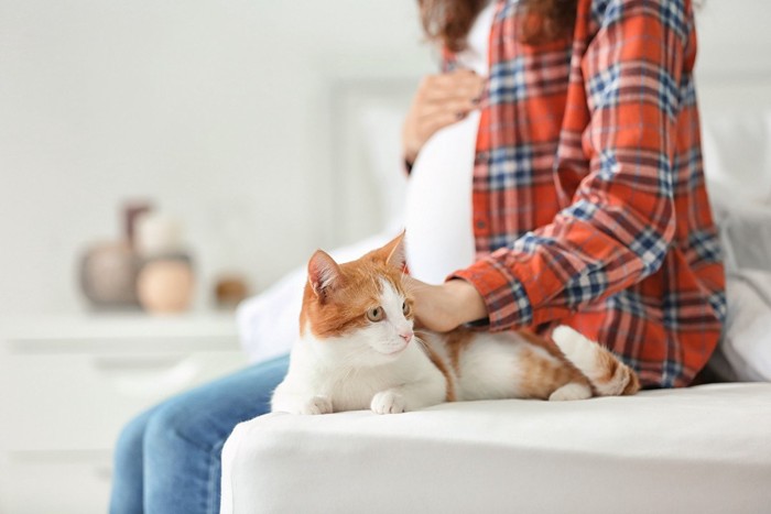 妊婦さんと猫