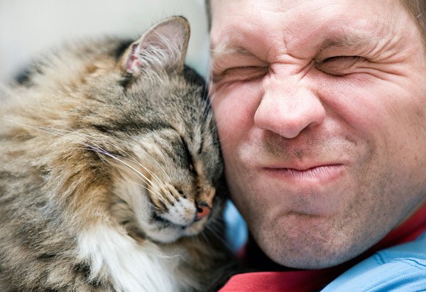 男性にスリスリする猫