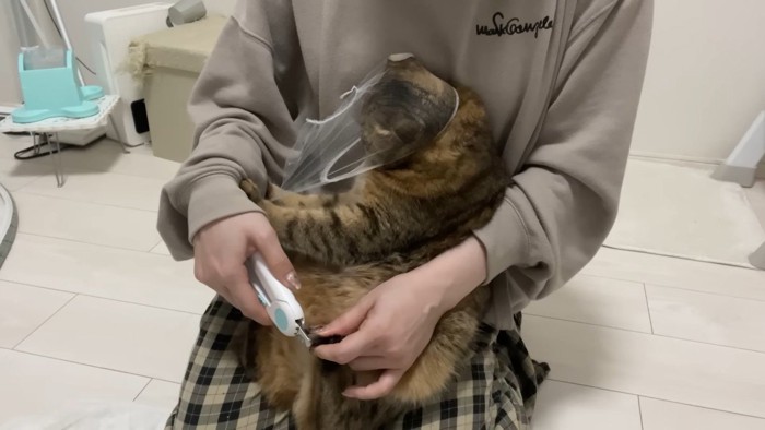 ネット引っ張り(横向き)