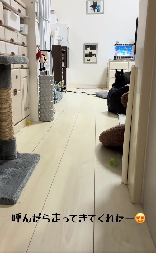 リビングの奥にいる黒猫(下半身見切れ)