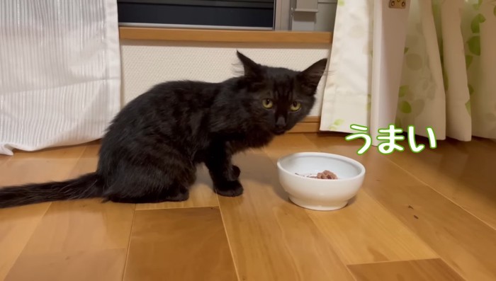 うまい