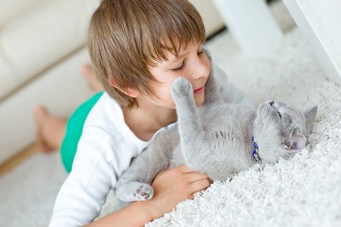 男の子と猫