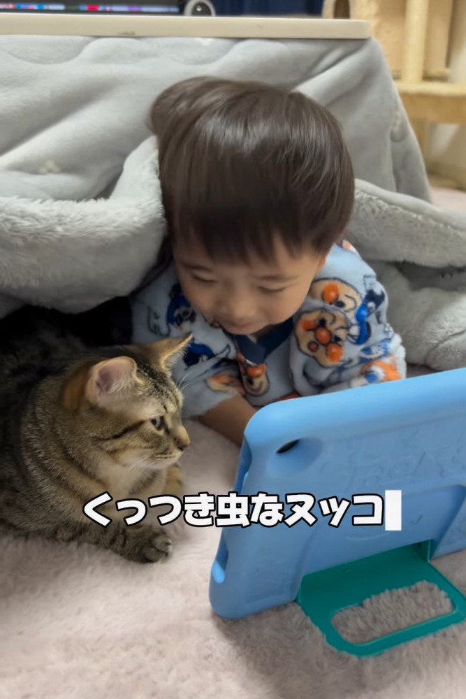 こたつに入る猫と男の子