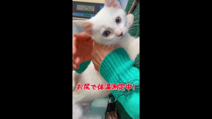 体温測定中
