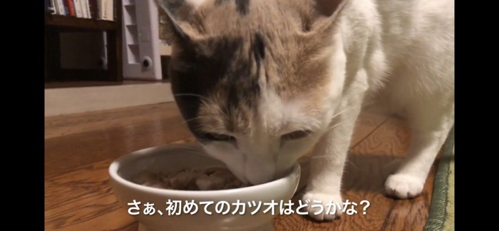 すぐ食べる